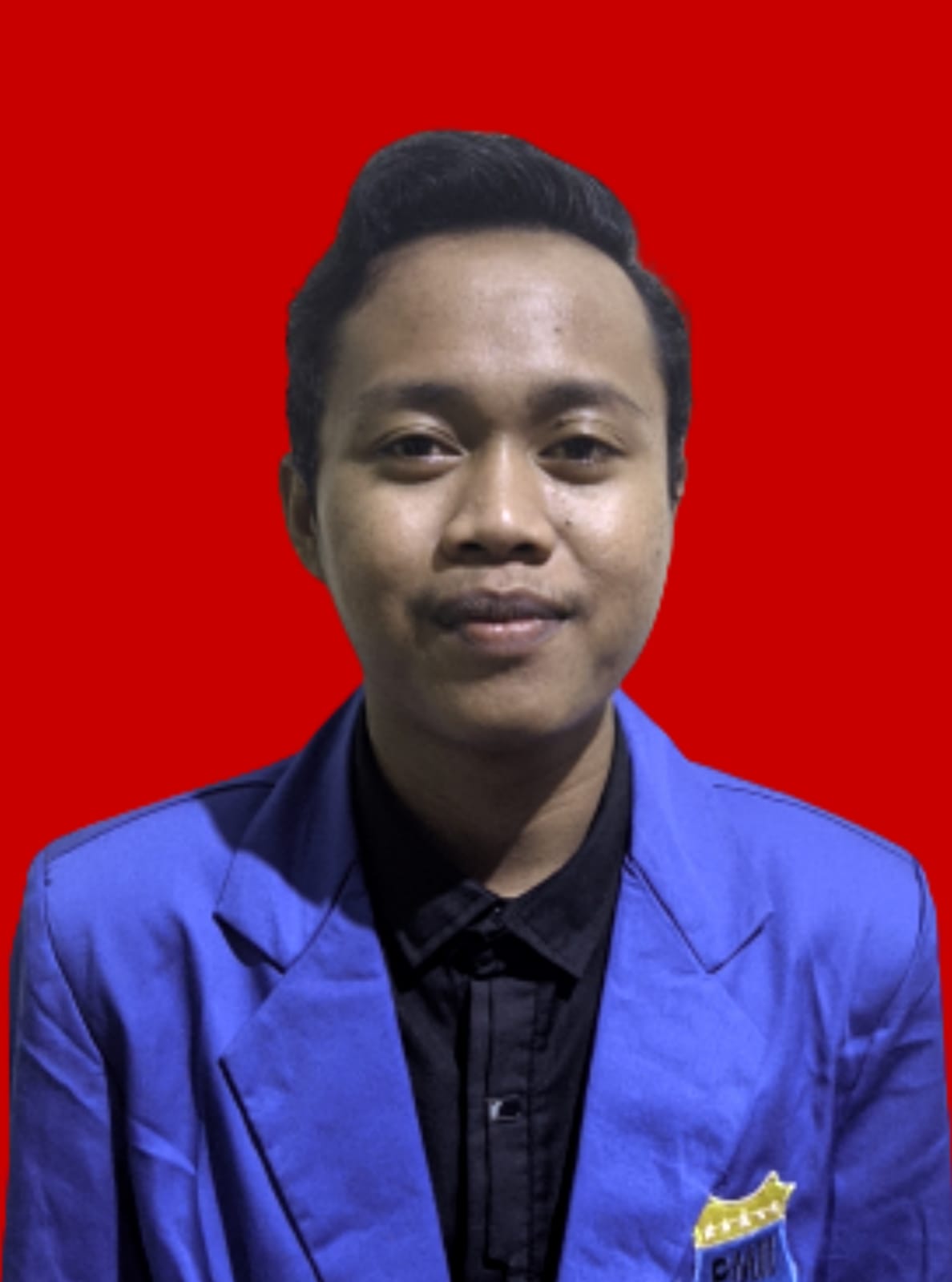 M. Ferry Abdillah